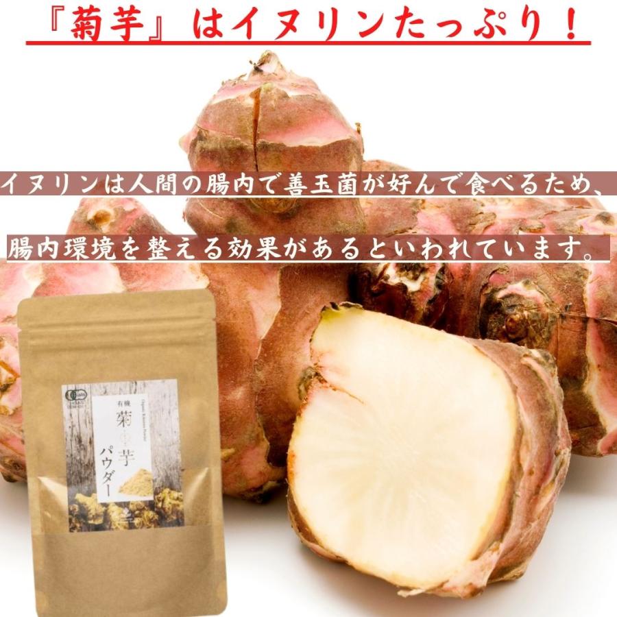 有機菊芋パウダー 50g×1袋 国産オーガニック 無添加 無着色 島根県産