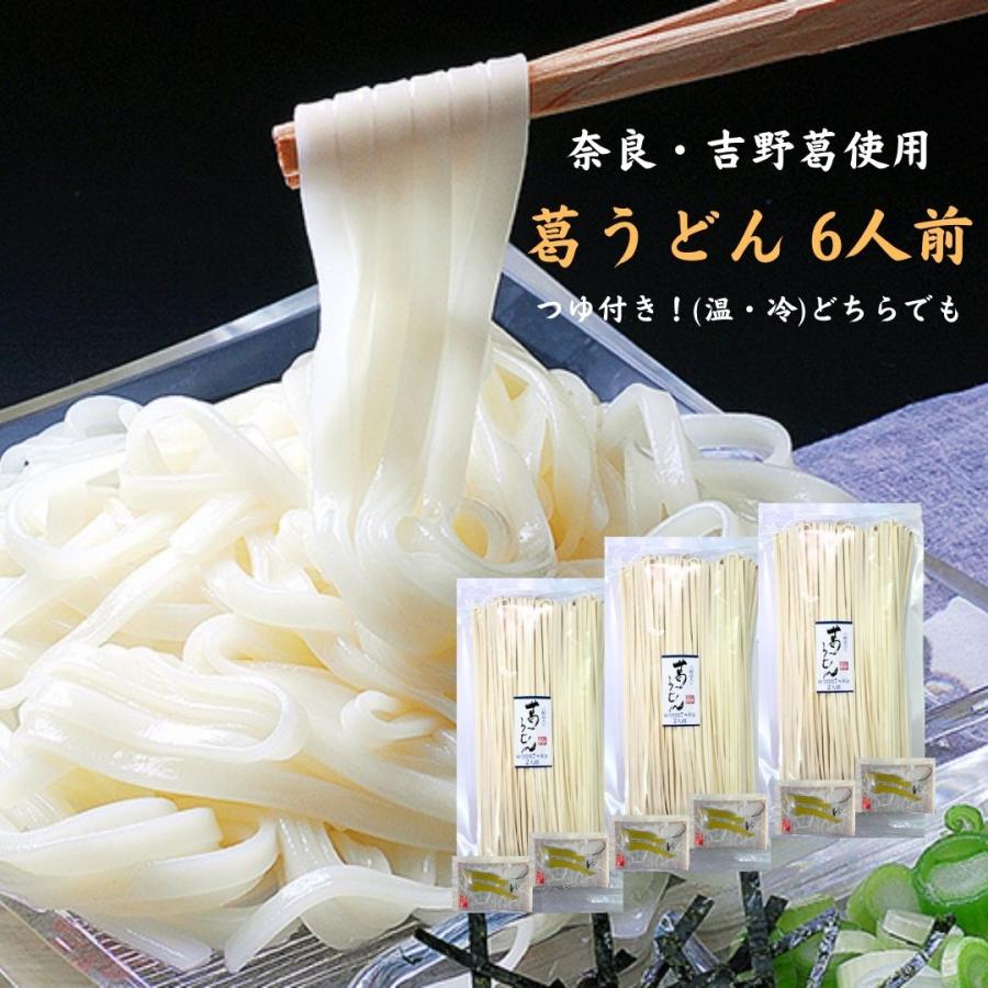 葛うどん 6人前 つゆ付き(温・冷兼用) 吉野葛使用 乾麺 くずうどん