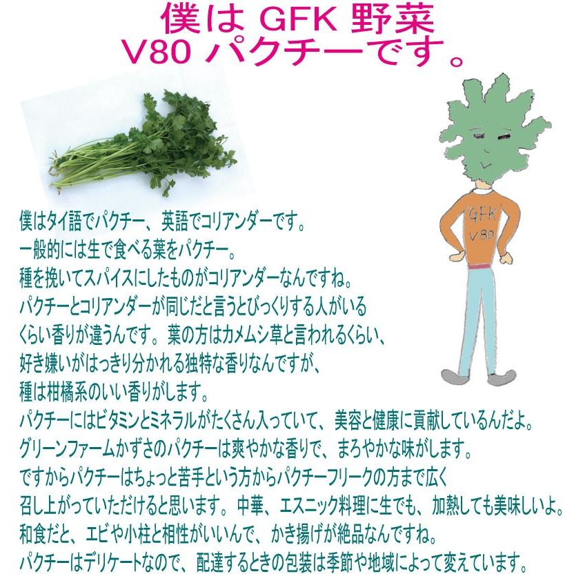 パクチー 業務用 500g 生野菜 税込 常温便 鮮度保持フィルム包装 トレファームの砂栽培育ちで元気な野菜です！｜gfkazusa-premium｜03