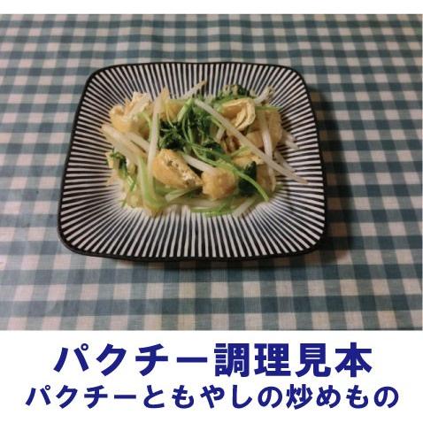 パクチー 業務用 500g 生野菜 税込 常温便 鮮度保持フィルム包装 トレファームの砂栽培育ちで元気な野菜です！｜gfkazusa-premium｜09