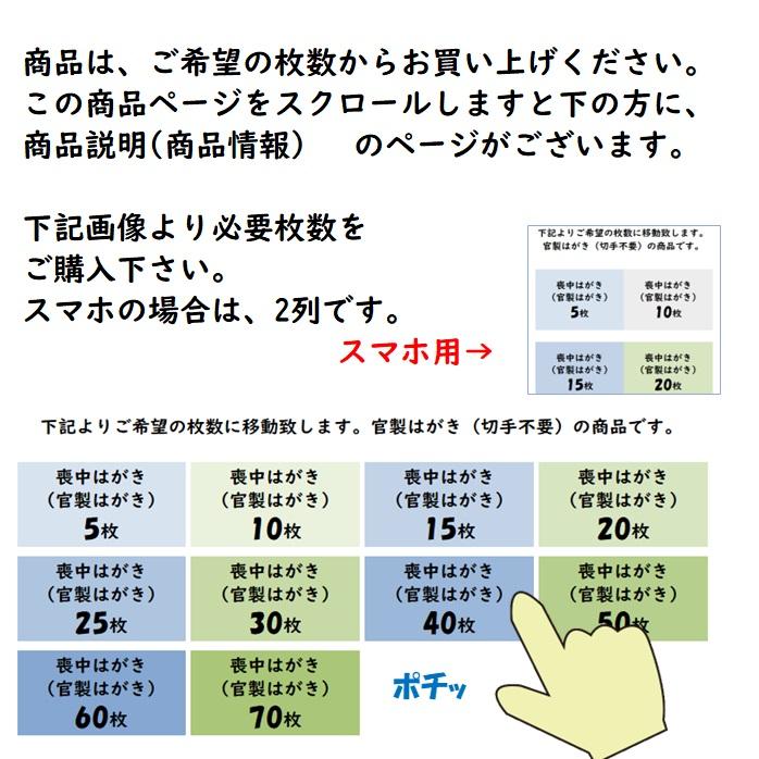 喪中はがき 印刷 ５枚〜20枚 名入れ有  官製はがき（郵便はがき） 送料無料 |  | 14