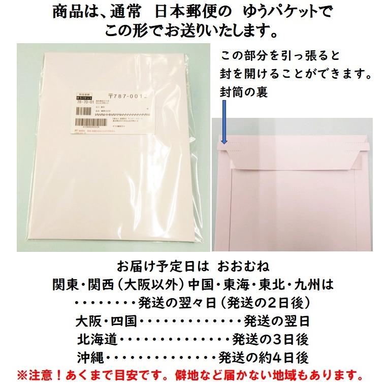 喪中はがき 印刷 5枚〜20枚 名入れ有 私製はがき 送料無料 : ギフト