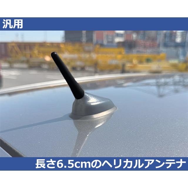 フォルクスワーゲン（Volkswagen） 長さ 65mm ヘリカルショート