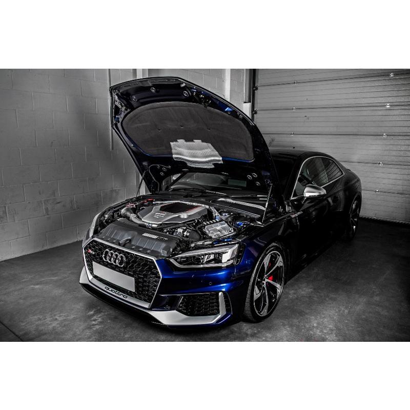 Audi（アウディ） RS4(8W) / RS5(F5) B9 Eventuri イベンチュリ