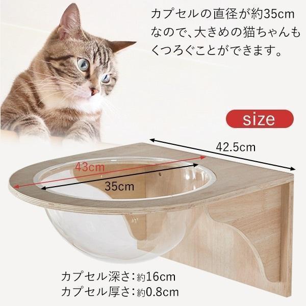 キャットウォーク」の人気商品一覧 | 安い商品を通販サイトから探す