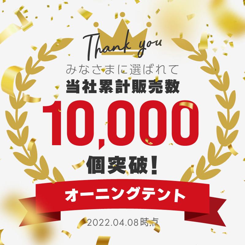 オーニングテント 日よけ 雨よけ 伸縮 幅3m×張出2m 青白 ストライプ