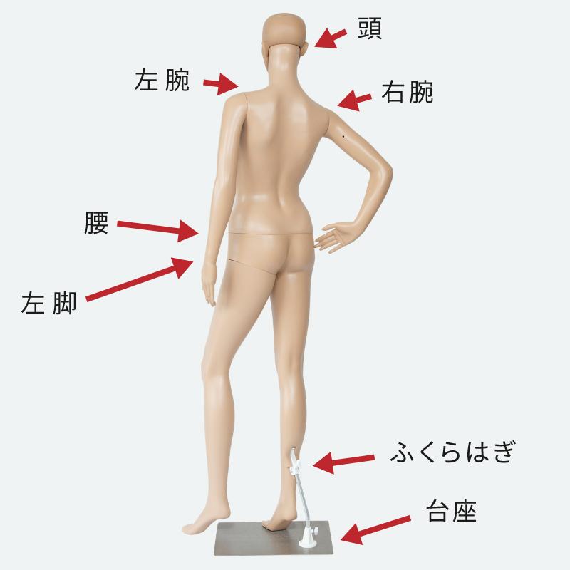 マネキン 女性 レディース 全身 軽量 マネキン買い 春 夏 秋 冬