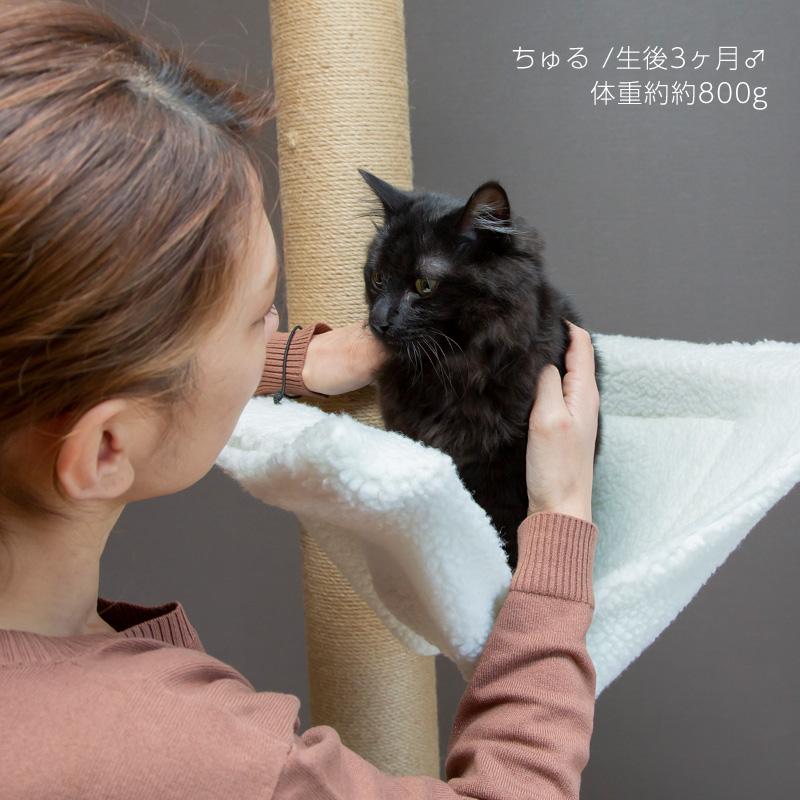 キャットタワー 突っ張り ハンモック 多頭飼い 部品 パーツ 拡張パーツ