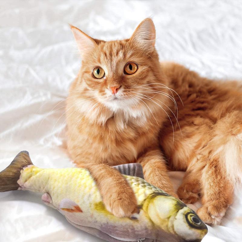 BACKYARD 猫とオレンジの魚のぬいぐるみ FAMILY（バックヤードファミリー） 一人遊び 魚 おもちゃ 猫 ぬいぐるみ・マスコット