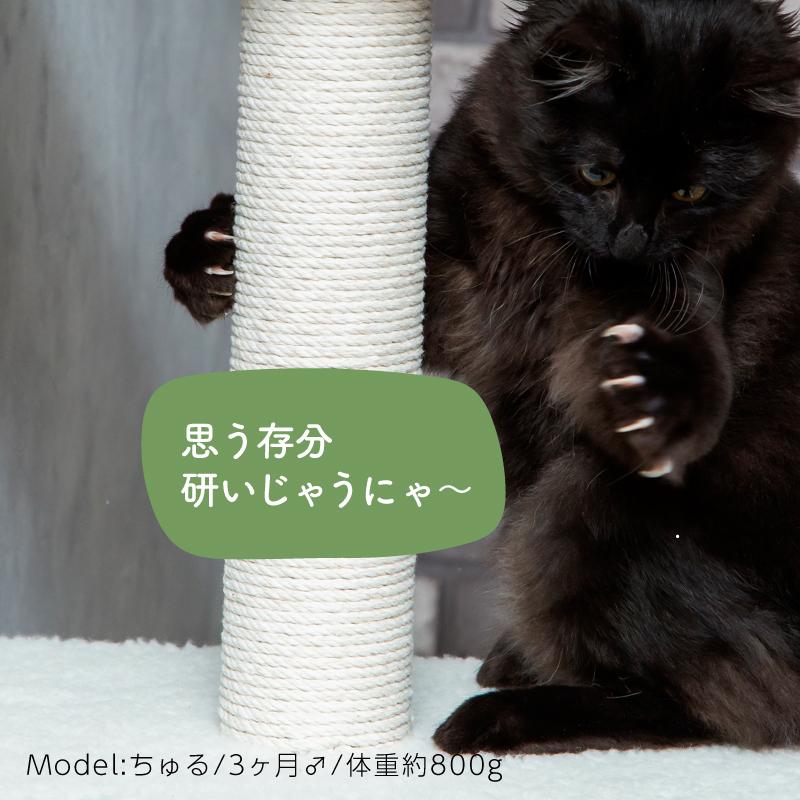 送料無料 キャットタワー 据え置き 猫タワー 低め おしゃれ 省スペース スリム 144cm シニア 仔猫 子猫 爪とぎ 657 ジージーバンク ヤフー店 通販 Yahoo ショッピング