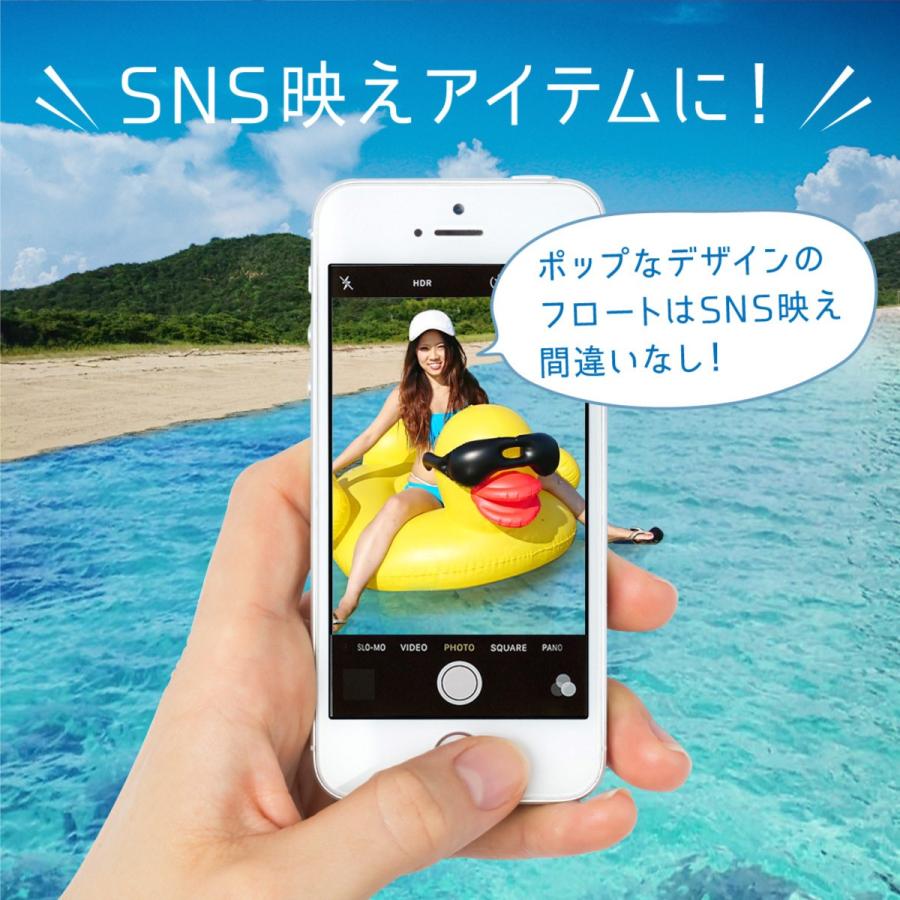 intex フロート 175cm 135cm インスタ映え フライドポテト 