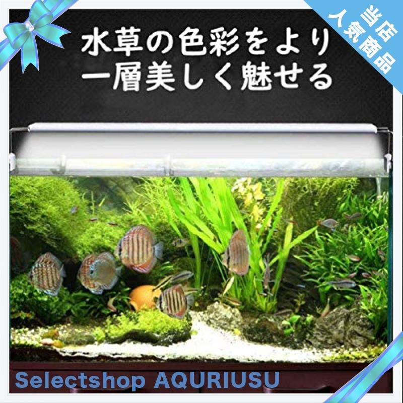 Ledgle 水槽ライト Ledアクアリウムライト 10w 39個led 50 60cm対応 熱帯魚 観賞魚飼育 水草育成 水槽照明用 省エネ 長寿命 39led灯 Wss 54tszrqibewq Selectshop Aquriusu 通販 Yahoo ショッピング