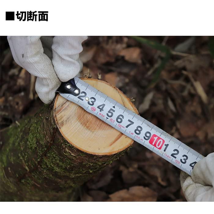 三陽金属 日本製 草刈機用刈刃 無双クリアソー 250mm 26T 草刈り 除草 ブラック｜ggf1-store｜05