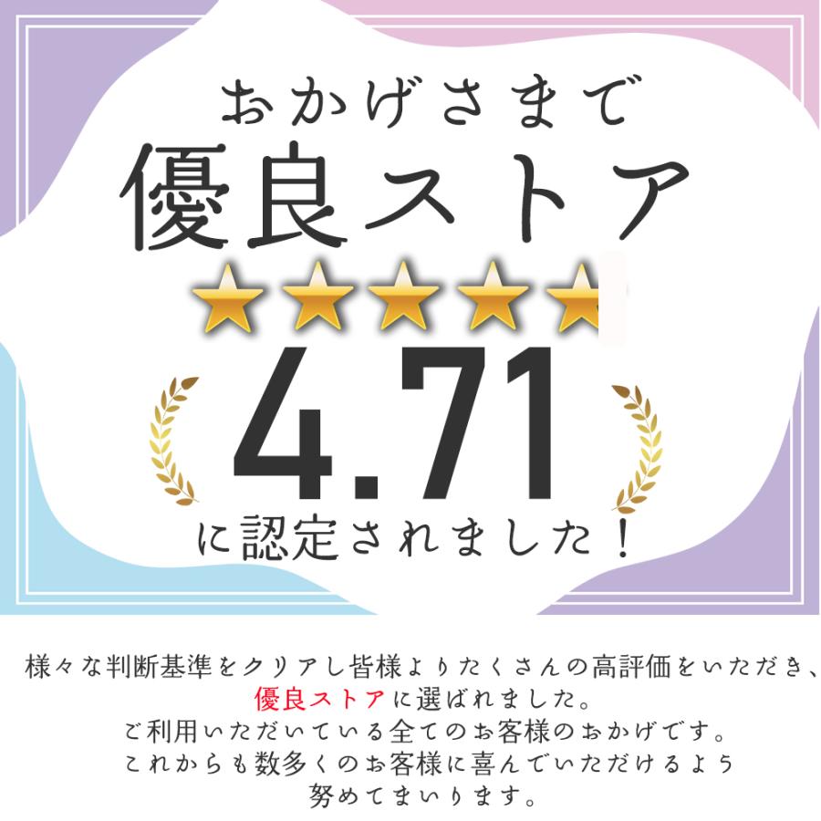 コイン アルバム ホルダー コレクション 250枚 収納 ケース 保存用 海外 古銭 メダル｜ggg｜05