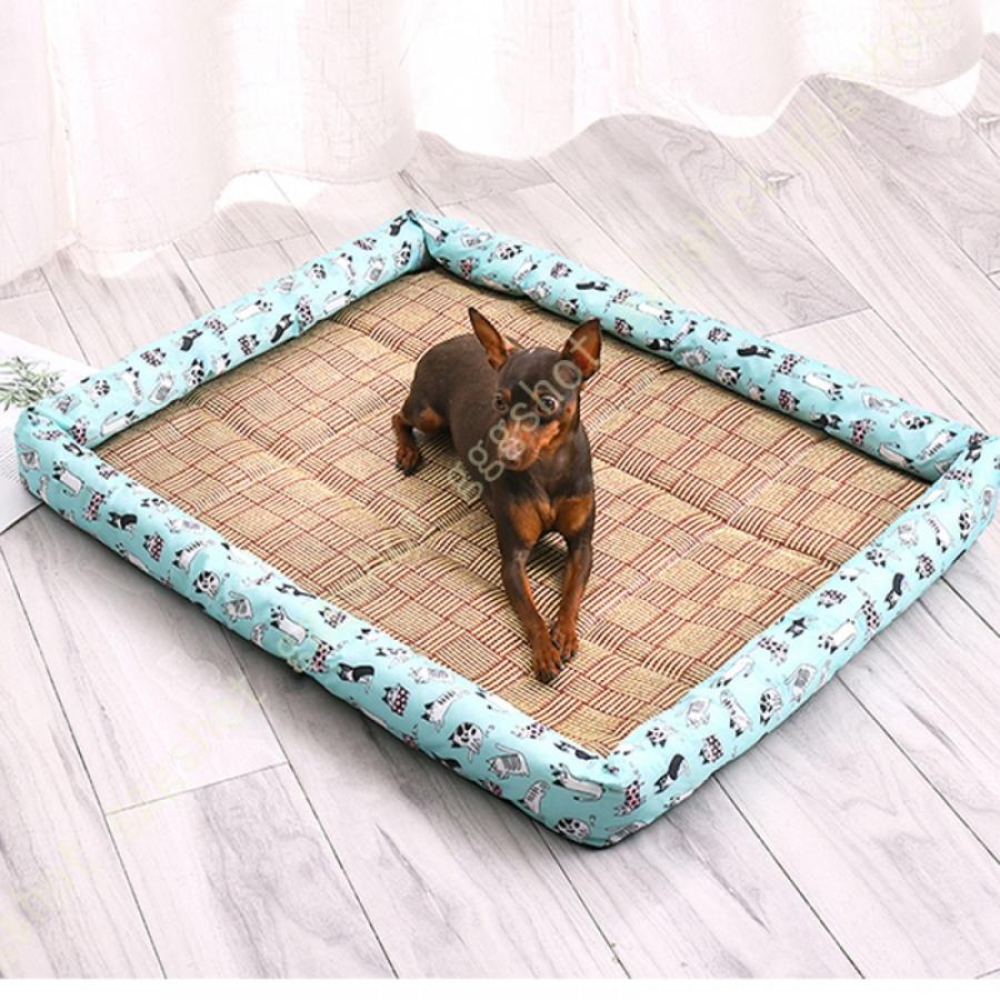 Abシートン 小動物用 ペット用冷却シート 犬用 59 以上節約 犬用