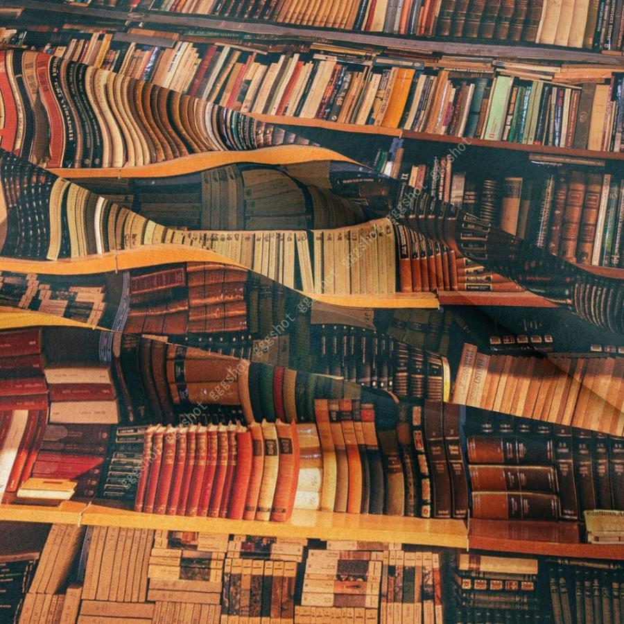 Web限定カラー タペストリー 本棚 本 棚 レトロ ヴィンテージ だまし絵 テレワーク 背景 リモートワーク 背景布 大きい 壁 インテリア 布 目隠し 部屋 飾り おしゃれ タペストリー カラー カラー 10 Www Factana Com