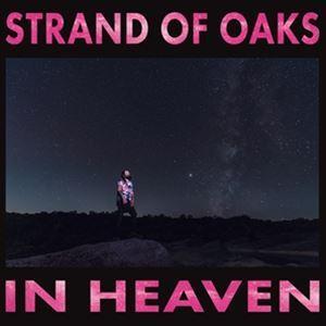 輸入盤 STRAND OF OAKS / IN HEAVEN [LP]｜ggking