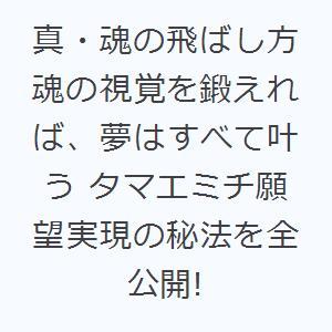 真・魂の飛ばし方 魂の視覚を鍛えれば、夢はすべて叶う タマエミチ願望