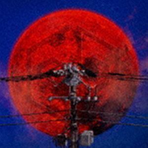 女王蜂 / 夜天（完全生産限定盤／CD＋Blu-ray） [CD] : ぐるぐる