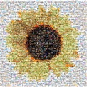 SAME × LUCCI EVERLONG / フラクタル [CD] : ぐるぐる王国2号館 ヤフー