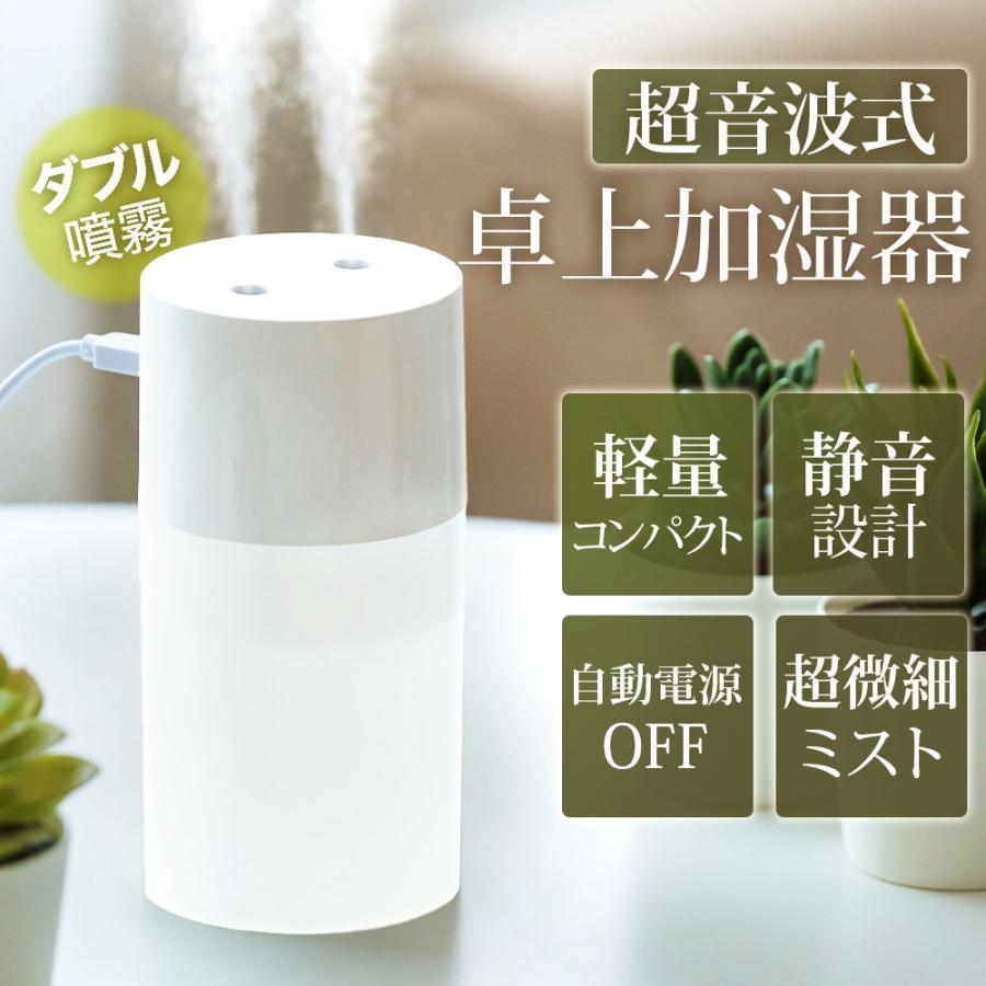 加湿器 小型 卓上 ミニ加湿器 2吹出口 USB給電式 軽量 静音 270ml 乾燥 