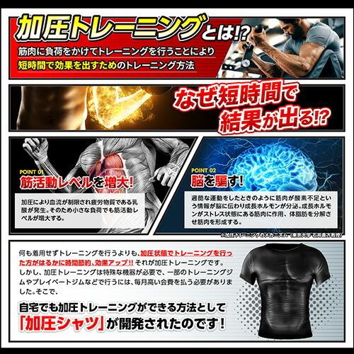 人気が高い 7着セット 阿修羅圧アシュラーツ M Lサイズ ガッツリ1週間分 筋肉 筋力 加圧 着圧tシャツ 送料無料 年最新海外 Orientalweavers Com