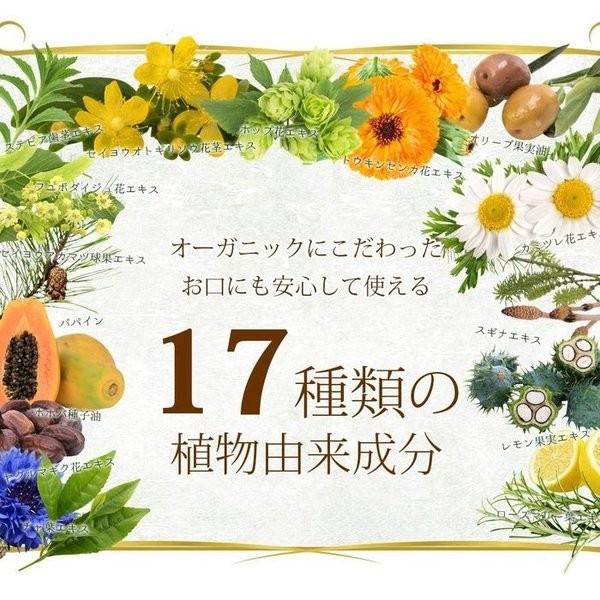 即発送可能 4本セット 雪輝麗 Sekkirei 30ml セッキレイ 日本製 天然成分歯磨きエキス 液体歯磨き 液体ハミガキ 口内洗浄液 ホワイトニング 口臭 送料無料 開店祝い Tv Creativetalentnetwork Com