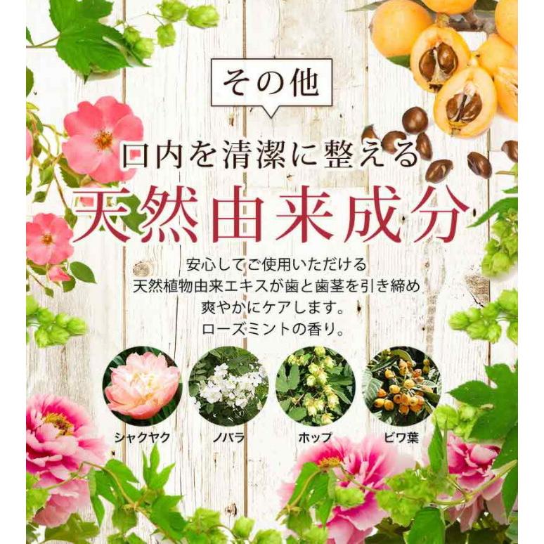 薬用パールホワイトプロ EXプラス 30ml＋プロシャイン120g 黄ばみ ヤニ 研磨剤なし 液体歯磨き 送料無料 お買得セット[_15