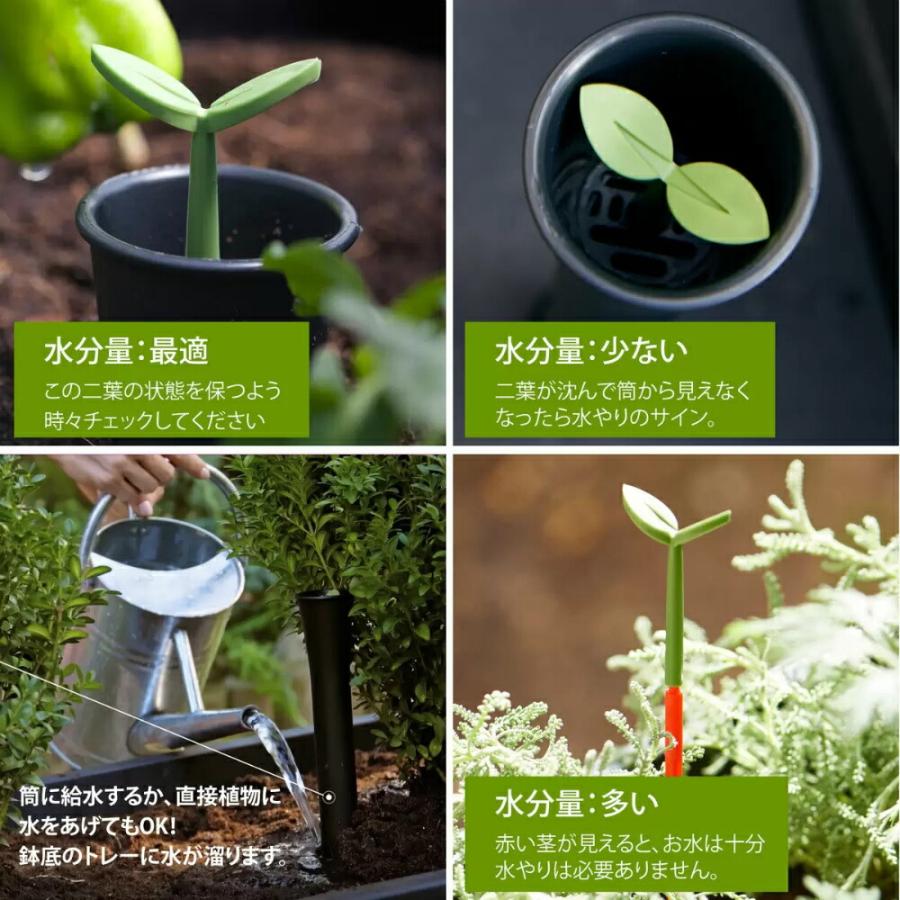 KETER ケター プランター 大型プランター 横幅99cm × 奥行58cm 高さ