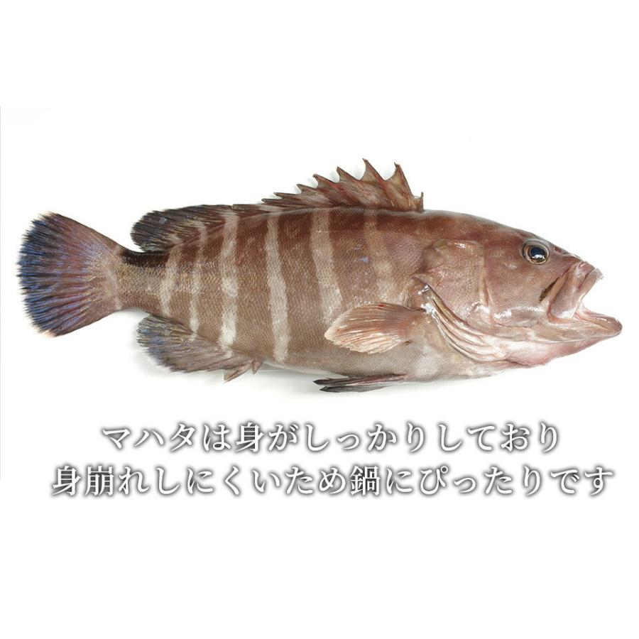 尾鷲マハタ鍋セット 伊勢神宮奉納魚 4 人前 高級魚 新鮮 おいしい コラーゲン ギフトお祝い 内祝い 紅白 贈り物 プレゼント 父の日 母の日 敬老の日お返し Kg K Only Life Medi Plus 通販 Yahoo ショッピング