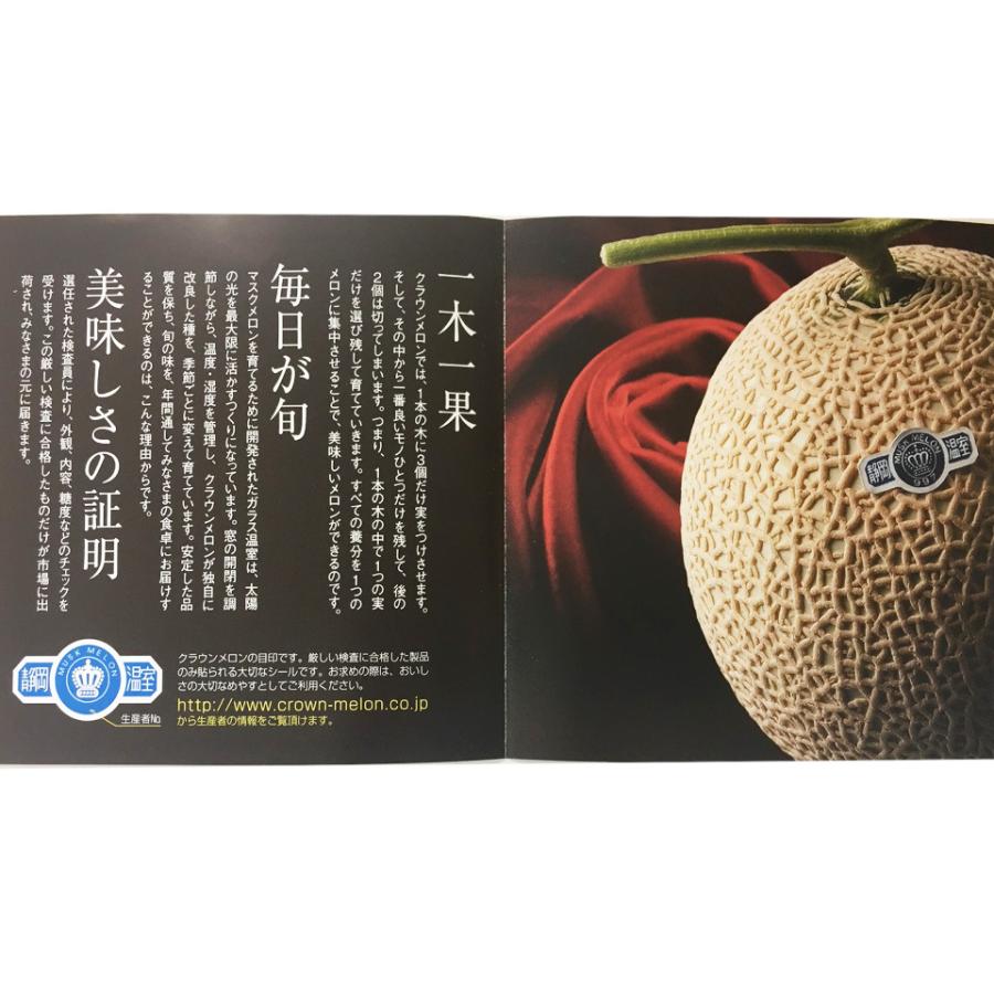 るふ　2ケース 静岡　アールスメロン chomusubi_2403110973_b136d6b6-