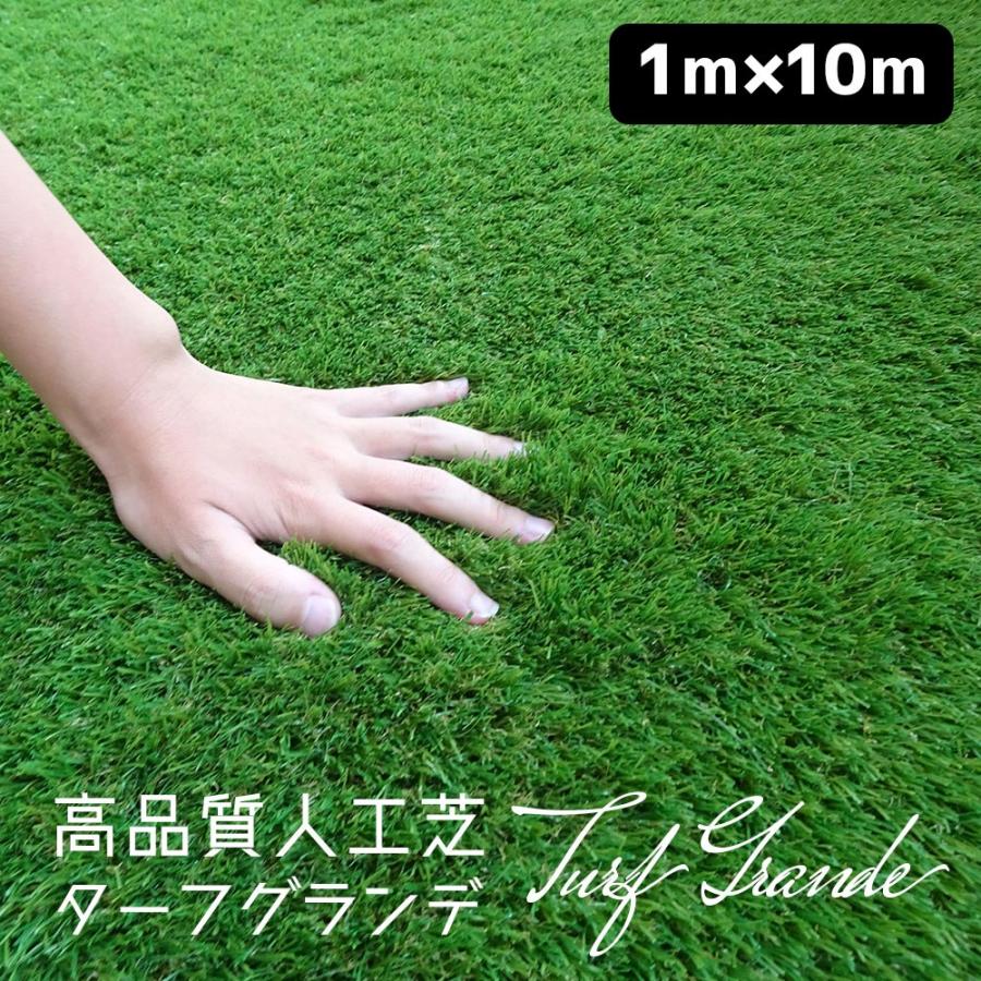 高機能人工芝 Duf Grande ターフグランデ 1m×10m 固定ピン50本付き 