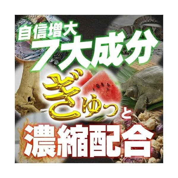 【1000円値引き中！】送料無料【4箱セット】ザガイラAZ(ZAGAILA AZ) シトルリン アルギニン 亜鉛 マカ マムシ スッポン カキ肉エキス 活力PT倍増｜ggtokyo｜03