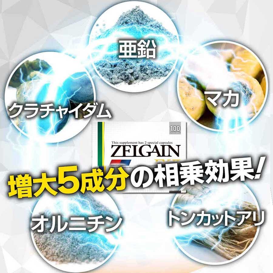 [1箱]ゼルゲイン ZELGAIN EX2メンズサプリ 業界最大級の100種の成分を濃密高配合！ L-シトルリン L-アルギニン 亜鉛 マカ クラチャイダム オルニチン 男性 体力｜ggtokyo｜04