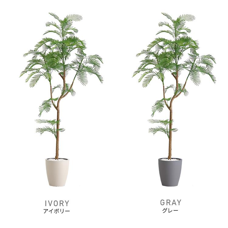 お手入れ簡単フェイクグリーン エバーフレッシュ Lサイズ(180cm