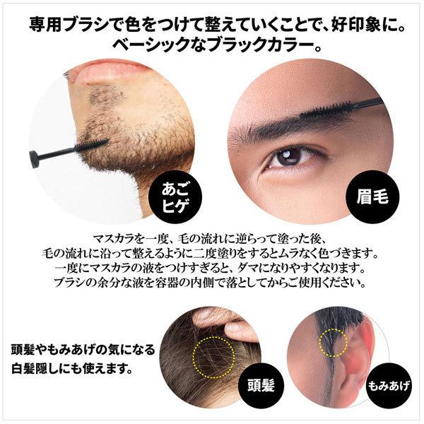 BRO.FOR MEN Quick Mascara 6g 送料無料 定形外郵便 男性向け 白髪染め 部分染め シェモア｜ghc｜02