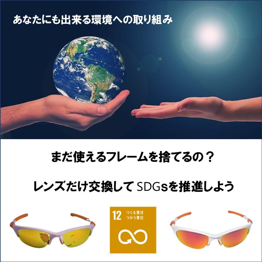 Ray-Ban レイバン サングラス RB4258F 交換 ライトカラー レンズ 格闘