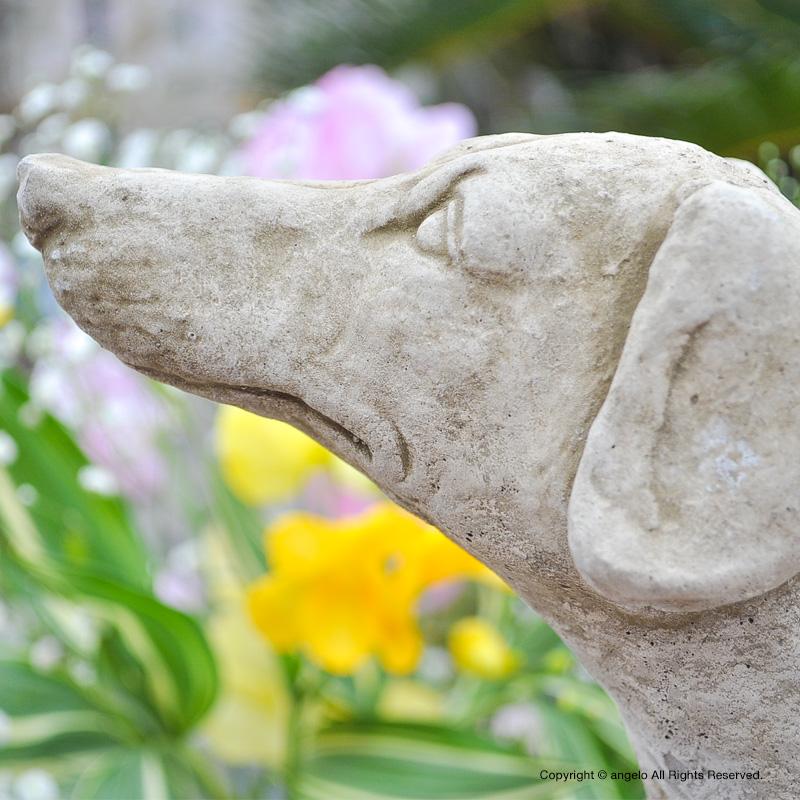 英国製 送料無料 ドッグ ストーン製 【ラーチャー】かっこいい 犬