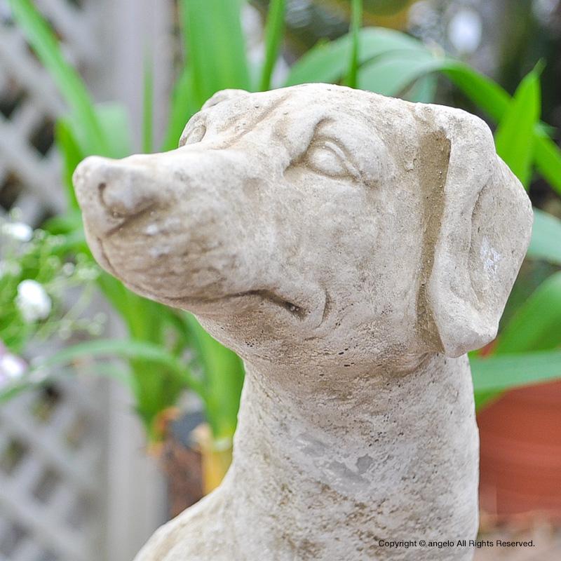 英国製 送料無料 ドッグ ストーン製 【ラーチャー】かっこいい 犬