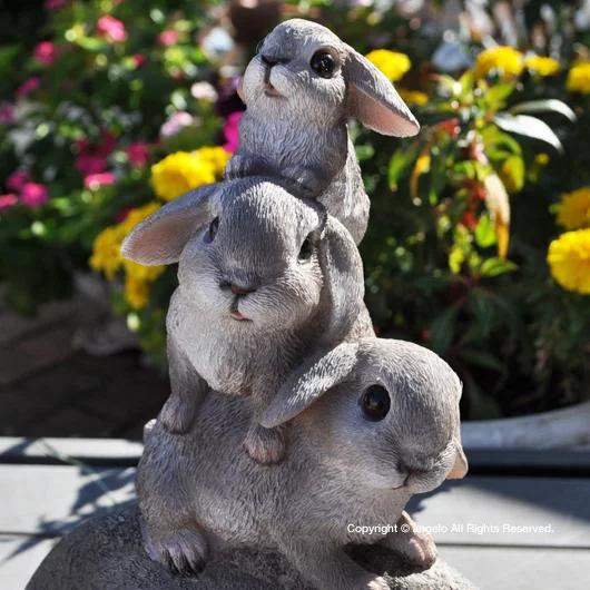 うさぎぐみ うさぎぐみ