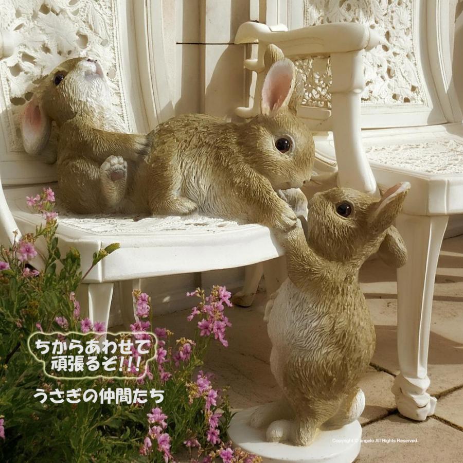 うさぎの仲間たち【ちからあわせて頑張るぞ!!!】【ガーデニング雑貨