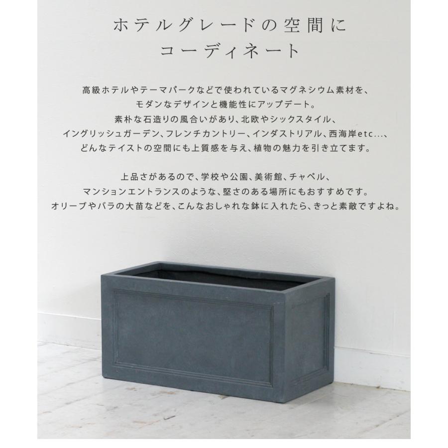 マグネシウムプランター 