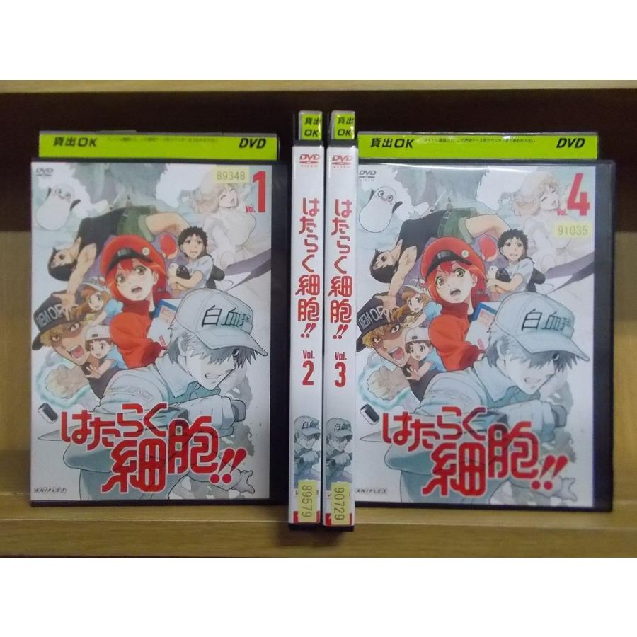 在庫商品 中古 レンタル落ち中古dvd ブルーレイを激安販売 映画やtvドラマ アニメ 邦画 洋画 韓流 お笑い 格闘技など万本超の豊富な在庫 Zb744 Dvd Dvd 映像ソフト はたらく細胞 第2期 はたらく細胞 全4巻 レンタル落ち Zb744 Zb744 ギフトグッズ