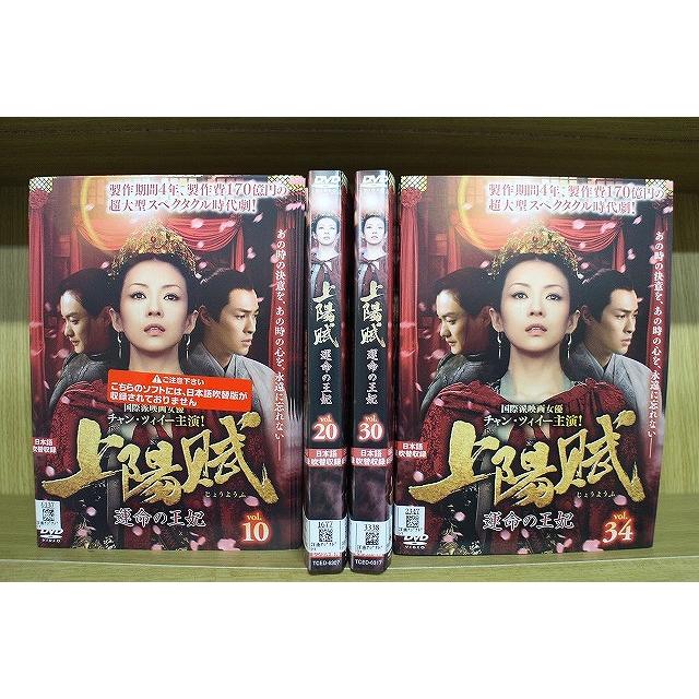 DVD 上陽賦 運命の王妃 全34巻 チャン・ツィイー ジョウ・イーウェイ