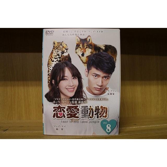 ソン・チャンウィ★カン・セジョン『私の男の秘密』レンタル落ちDVD★全巻 ソン・チャンウィ☆カン・セジョン『私の男の秘密』レンタル落ちDVD