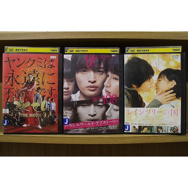 DVD ごくせん THEMOVIE パラレルワールド・ラブストーリー レイン