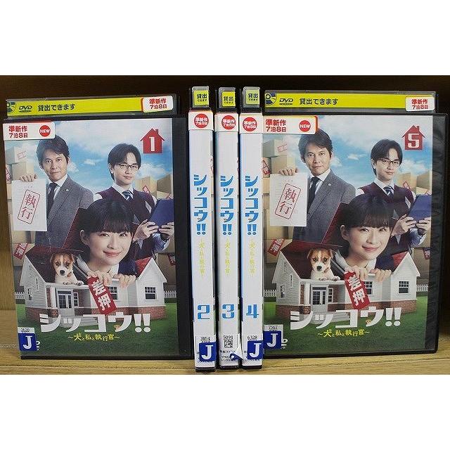 DVD シッコウ!! 犬と私と執行官 全5巻 伊藤沙莉 中島健人 織田 DVD シッコウ!! 犬と私と執行官 全5巻 伊藤沙莉 中島健人 織田