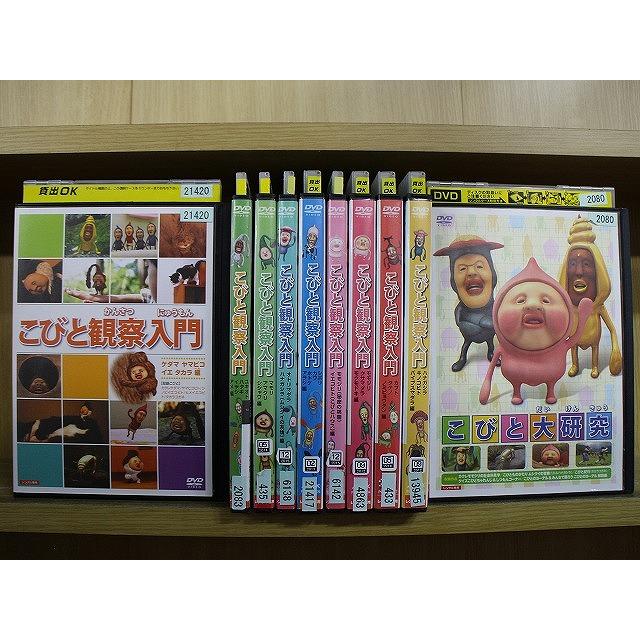 こびと観察入門 大研究　DVD全10巻セット DVD こびと観察入門 こびと大研究 シリーズ 計10本セット ※ケース無し