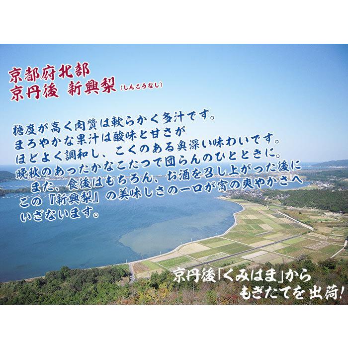 新興梨 京たんご梨 等級 優 5kg 3l 約9玉 家庭用 京都府京丹後市産 秋なし 高級ギフト 送料無料 Amf Nashi 1b ギフト広場 通販 Yahoo ショッピング