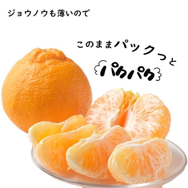 デコポン 有田 不知火 みかん 4kg以上 (5kg箱) 秀品 茶段ボール箱 M〜2Lサイズ 小玉 和歌山県産 AQ選果場 しらぬい 高級フルーツ ギフト 果物 送料無料_8